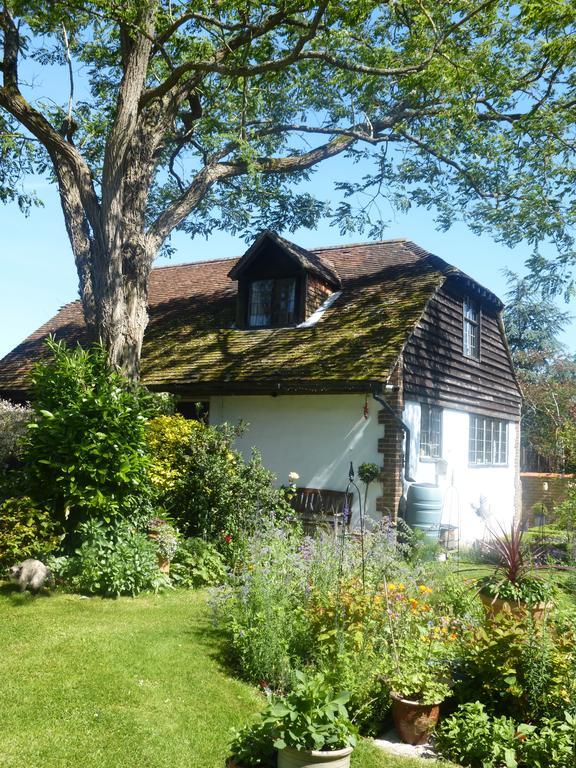 Strawberry Cottage B&B Hedge End Zewnętrze zdjęcie